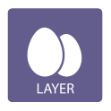 layer